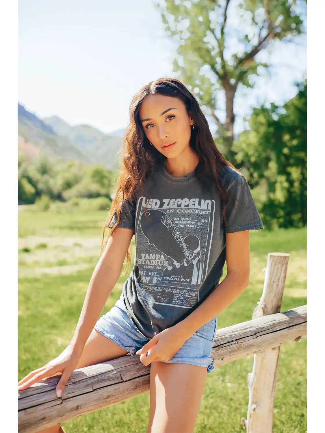 Led Zeppelin 1973 Sunkissed Tee